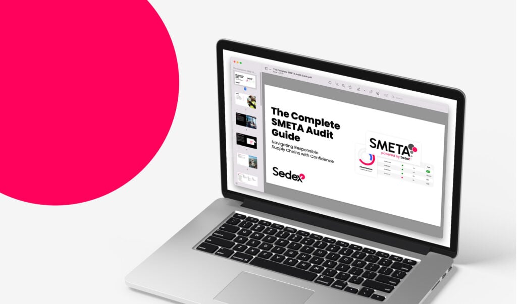 Complete SMETA Audit Guide