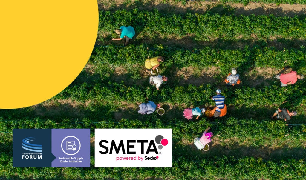 A field of green crops viewed from above, with people in colourful clothing picking, with the SMETA and Consumer Goods Forum logos added onto the image